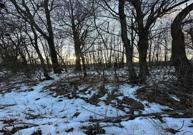 Photo 1 of Land at 0 County Road 268, Neelyville, MO 63954 | MLS# MIS25002501 | | Sold on 2025-06-30