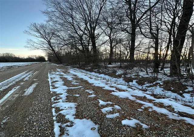Photo 4 of Land at 0 County Road 268, Neelyville, MO 63954 | MLS# MIS25002501 | | Sold on 2025-06-30