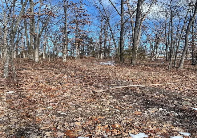 Photo 3 of Farm at 1 Kingbird Lane, Center, MO 63436 | MLS# MIS25002602 | | Sold on 2025-01-31