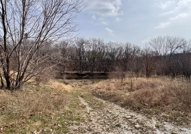 Photo 3 of Farm at 34688 Mo-D, Santa Fe, MO 65282 | MLS# MIS25003140 | | Sold on 2025-07-17