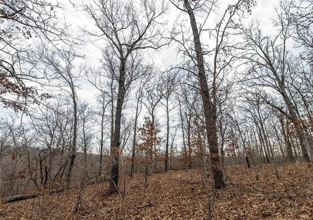Photo 4 of Farm at 0 Broads Branch Rd, Macks Creek, MO 65786 | MLS# MIS25003572 | | Sold on 2025-04-10
