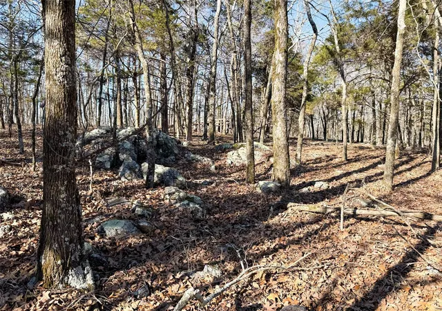 Photo 4 of Farm at 1 Off Hwy D, Ironton, MO 63650 | MLS# MIS25003825 | | Sold on 2025-07-23