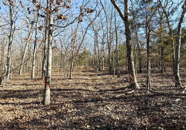 Photo 5 of Farm at 1 Off Hwy D, Ironton, MO 63650 | MLS# MIS25003825 | | Sold on 2025-07-23