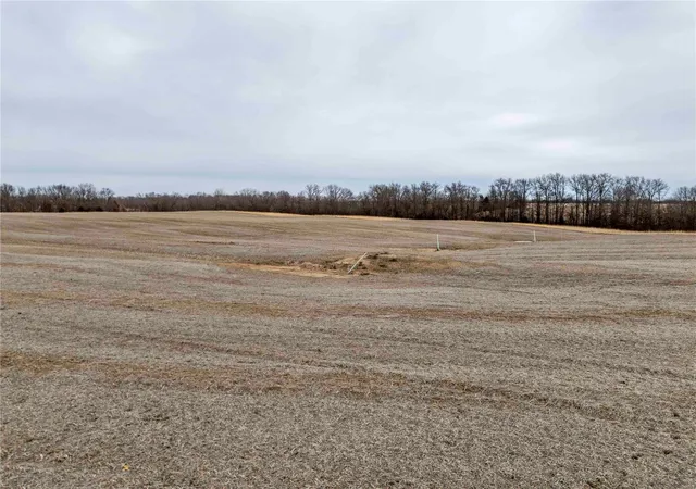Photo 5 of Farm at 0 State Hwy A, Wyaconda, MO 63474 | MLS# MIS25004251 | | Sold on 2025-04-03