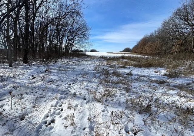 Photo 3 of Farm at 0 Honey Locust Rd, Jonesburg, MO 63351 | MLS# MIS25004372 | | Sold on 2025-02-20