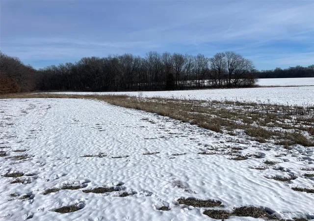 Photo 4 of Farm at 0 Honey Locust Rd, Jonesburg, MO 63351 | MLS# MIS25004372 | | Sold on 2025-02-20