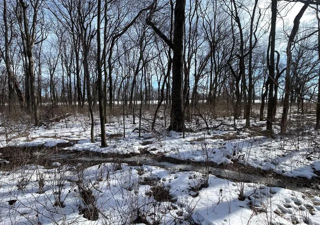 Photo 5 of Farm at 0 Honey Locust Rd, Jonesburg, MO 63351 | MLS# MIS25004372 | | Sold on 2025-02-20