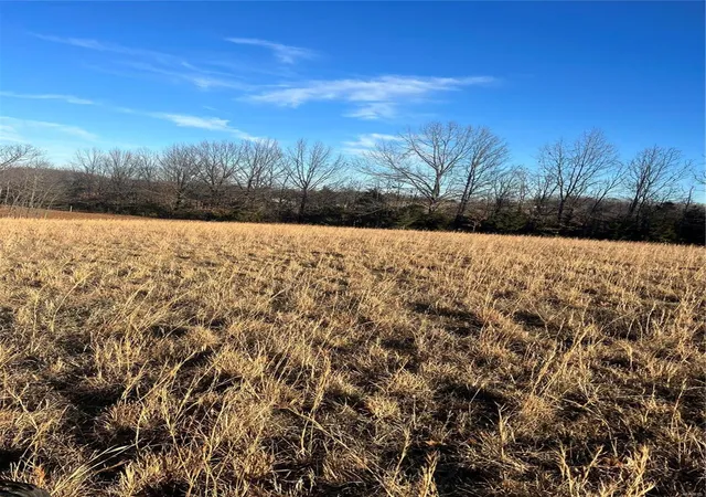 Photo 3 of Farm at 38639 Bcr 254, Sedgewickville, MO 63781 | MLS# MIS25005037 |  | Sold on 2025-04-04