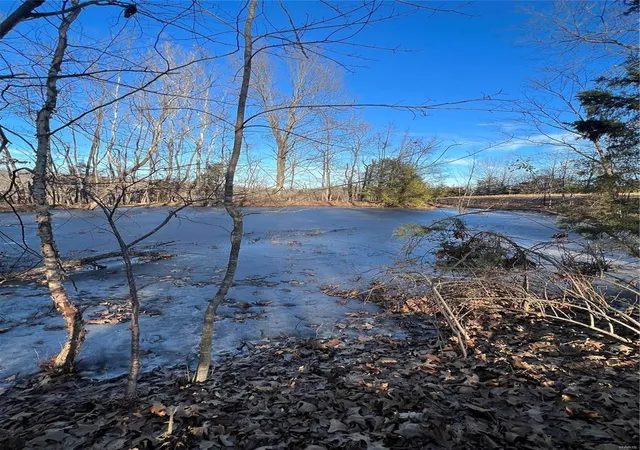 Photo 4 of Farm at 38639 Bcr 254, Sedgewickville, MO 63781 | MLS# MIS25005037 |  | Sold on 2025-04-04