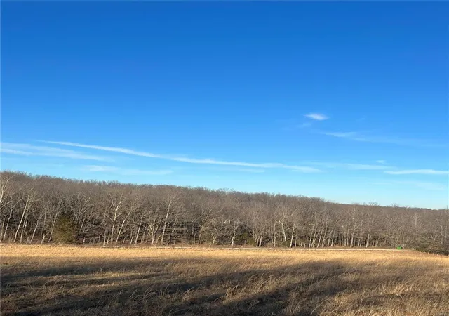 Photo 5 of Farm at 38639 Bcr 254, Sedgewickville, MO 63781 | MLS# MIS25005037 |  | Sold on 2025-04-04