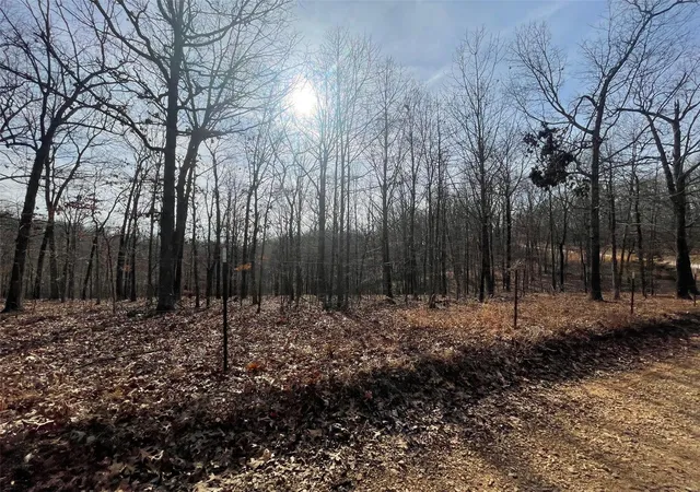 Photo 3 of Single Family Residence at 15922 Brown Bat Dr, Marble Hill, MO 63764 | MLS# MIS25006699 | | Sold on 2025-03-19