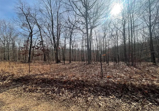Photo 4 of Single Family Residence at 15922 Brown Bat Dr, Marble Hill, MO 63764 | MLS# MIS25006699 | | Sold on 2025-03-19