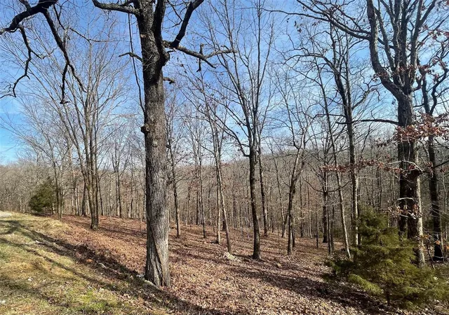 Photo 5 of Single Family Residence at 15922 Brown Bat Dr, Marble Hill, MO 63764 | MLS# MIS25006699 | | Sold on 2025-03-19