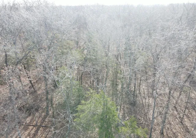Photo 4 of Land at 6 County Road 332, Stoutsville, MO 65283 | MLS# MIS25007484 | | Sold on 2025-03-31