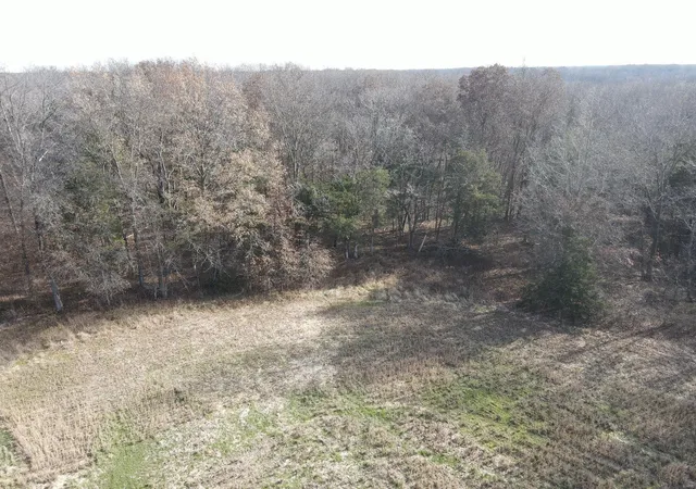 Photo 5 of Land at 6 County Road 332, Stoutsville, MO 65283 | MLS# MIS25007484 | | Sold on 2025-03-31