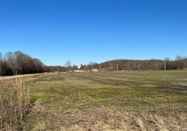 Photo 2 of Farm at 0 Hwy 51, Puxico, MO 63960 | MLS# MIS25007638 | | Sold on 2025-03-25
