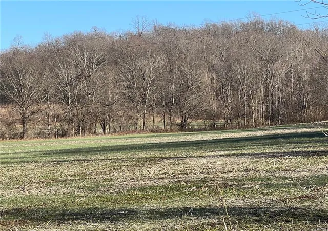 Photo 3 of Farm at 0 Hwy 51, Puxico, MO 63960 | MLS# MIS25007638 | | Sold on 2025-03-25