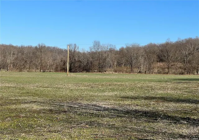 Photo 4 of Farm at 0 Hwy 51, Puxico, MO 63960 | MLS# MIS25007638 | | Sold on 2025-03-25
