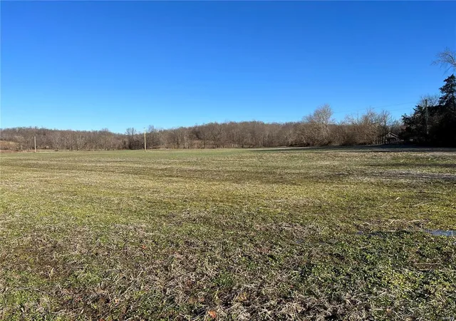 Photo 5 of Farm at 0 Hwy 51, Puxico, MO 63960 | MLS# MIS25007638 | | Sold on 2025-03-25