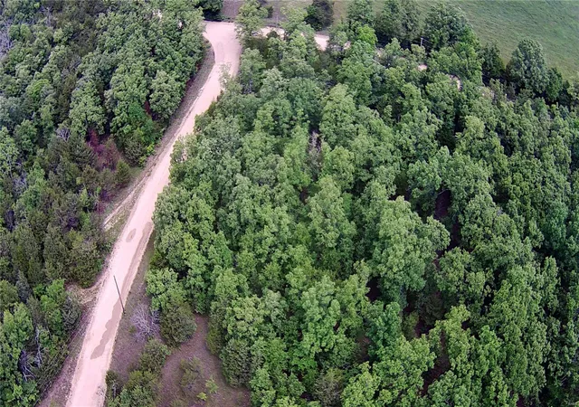 Photo 3 of Land at 0 County Road 522, Gainesville, MO 65655 | MLS# MIS25007689 | | Sold on 2025-03-19