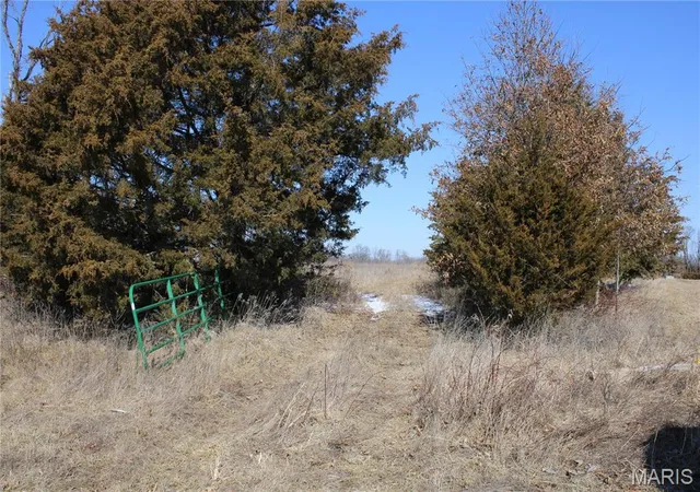 Photo 2 of Agriculture at 1 Hwy 24, Madison, MO 65263 | MLS# MIS25008000 |  | Sold on 2026-02-27