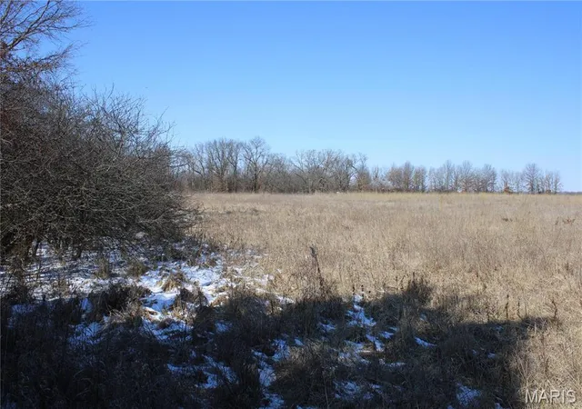Photo 3 of Agriculture at 1 Hwy 24, Madison, MO 65263 | MLS# MIS25008000 |  | Sold on 2026-02-27
