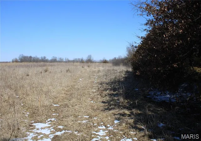Photo 5 of Agriculture at 1 Hwy 24, Madison, MO 65263 | MLS# MIS25008000 |  | Sold on 2026-02-27