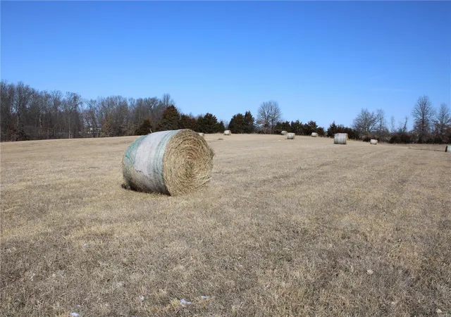 Photo 2 of Agriculture at 2 Hwy 24, Madison, MO 65263 | MLS# MIS25008001 | | Sold on 2025-07-24