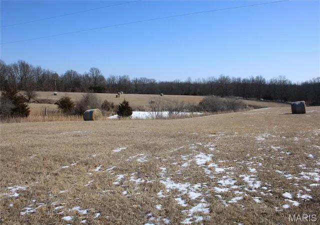 Photo 1 of Agriculture at 9 Hwy 24, Madison, MO 65263 | MLS# MIS25008006 | | Sold on 2025-11-26