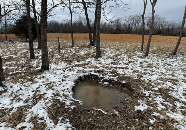 Photo 3 of Farm at 1 Bcr 924, Patton, MO 63662 | MLS# MIS25008617 | | Sold on 2025-04-16