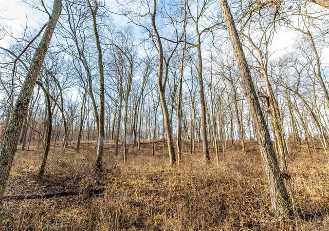Photo 4 of Farm at 4105 Mo-Yy, Montgomery, MO 63361 | MLS# MIS25009238 | | Sold on 2025-04-17