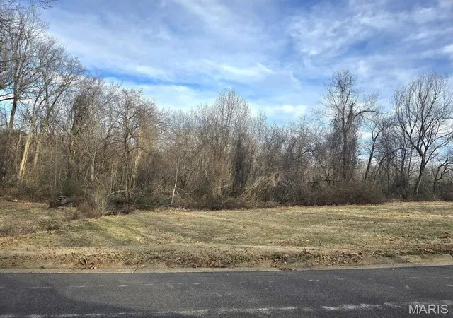 Homes for sale in Dexter, MO | 0 E Kenton Rd, Dexter, MO 63841 | MLS# MIS25009938