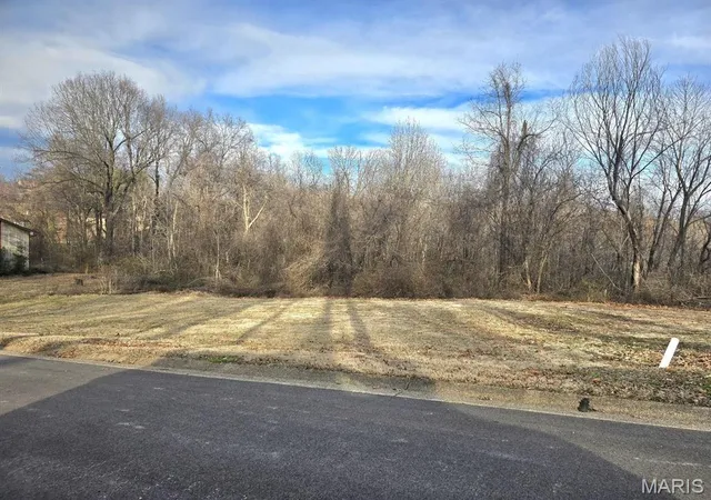 Homes for sale in Dexter, MO | 0 E Kenton Rd, Dexter, MO 63841 | MLS# MIS25009938