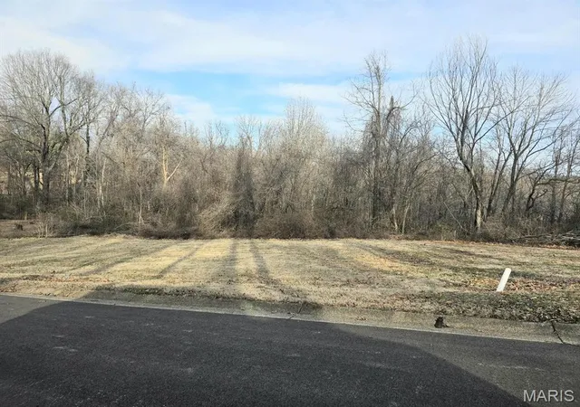 Homes for sale in Dexter, MO | 0 E Kenton Rd, Dexter, MO 63841 | MLS# MIS25009938