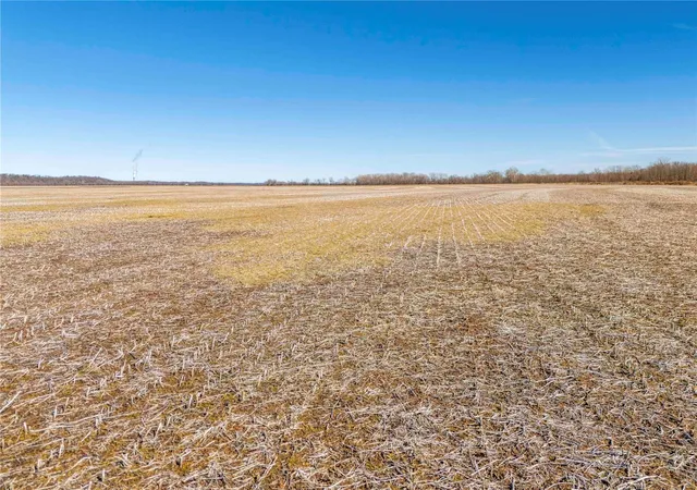 Photo 3 of Farm at 0 County Road 473, Tebbetts, MO 65059 | MLS# MIS25011659 | | Sold on 2025-05-29