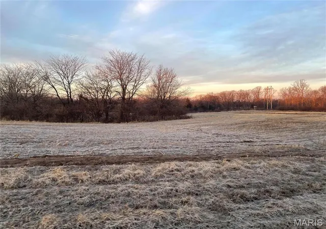 3rd image of 221 Bluegrass Pasture Ct, Wentzville, MO 63385 | MLS# MIS25012004