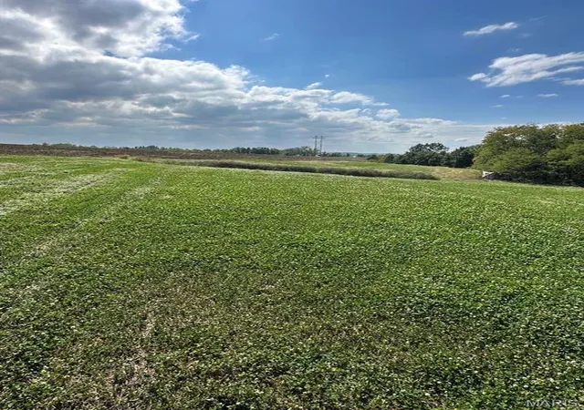 Photo 5 of Farm at 0 Osage Dr, New London, MO 63459 | MLS# MIS25012238 |  | Sold on 2026-02-11