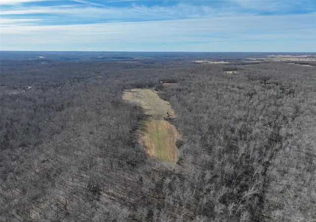 Photo 4 of Farm at 0 Wild Cat Road, Bland, MO 65014 | MLS# MIS25012421 |  | Sold on 2025-04-14