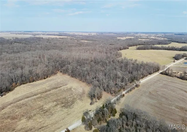 Photo 4 of Farm at 0 419 Acres, County Rd 744, Mexico, MO 65264 | MLS# MIS25012691 |  | Sold on 2025-08-07