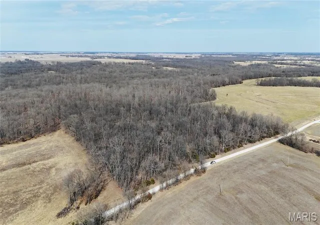 Photo 5 of Farm at 0 419 Acres, County Rd 744, Mexico, MO 65264 | MLS# MIS25012691 |  | Sold on 2025-08-07