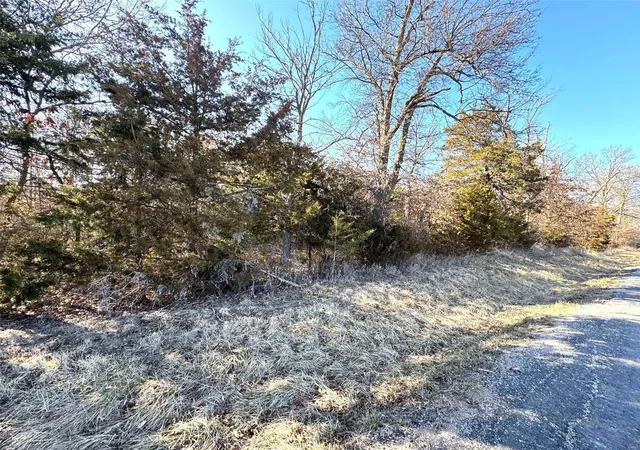 Photo 3 of Land at 0 Hwy K, Hunnewell, MO 63443 | MLS# MIS25013646 | | Sold on 2025-04-24