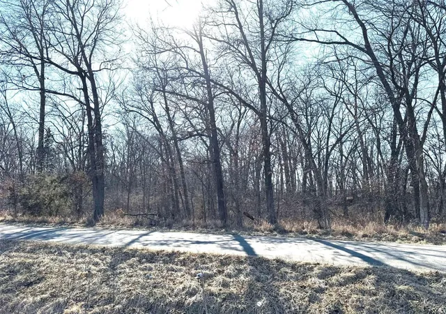 Photo 4 of Land at 0 Hwy K, Hunnewell, MO 63443 | MLS# MIS25013646 | | Sold on 2025-04-24