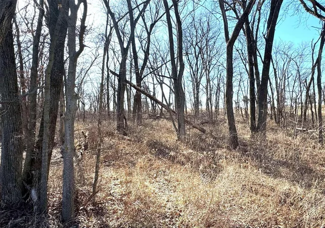 Photo 5 of Land at 0 Hwy K, Hunnewell, MO 63443 | MLS# MIS25013646 | | Sold on 2025-04-24