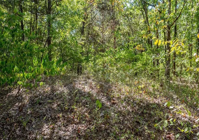 Photo 5 of Farm at 0 Kuhne, Owensville, MO 65066 | MLS# MIS25013928 | | Sold on 2025-05-23