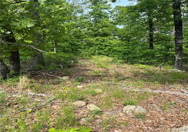 16th image of 0 State Hwy Y, Willow Springs, MO 65793 | MLS# MIS25014137