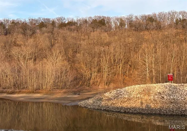 Photo 2 of Agriculture at 2 Bluffview Dr (2 Acre Tract), Center, MO 63436 | MLS# MIS25015121 | | Sold on 2025-12-12
