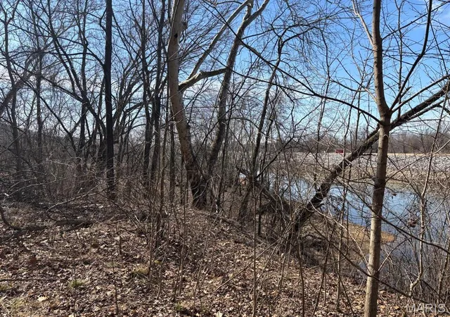 Photo 4 of Agriculture at 2 Bluffview Dr (2 Acre Tract), Center, MO 63436 | MLS# MIS25015121 | | Sold on 2025-12-12