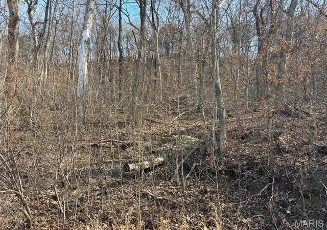 Photo 5 of Agriculture at 2 Bluffview Dr (2 Acre Tract), Center, MO 63436 | MLS# MIS25015121 | | Sold on 2025-12-12