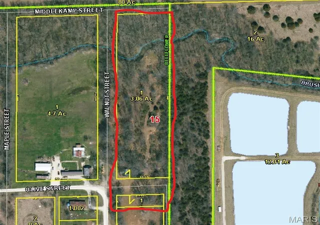 Photo 2 of Land at 401 E Olive St, Bellflower, MO 63333 | MLS# MIS25015966 | | Sold on 2025-05-16