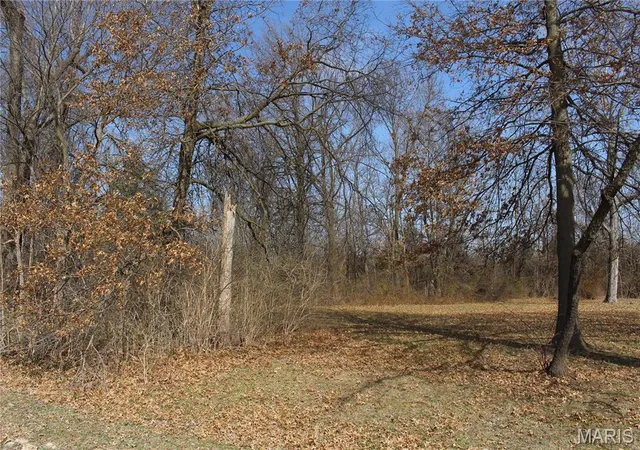 Photo 5 of Land at 401 E Olive St, Bellflower, MO 63333 | MLS# MIS25015966 | | Sold on 2025-05-16